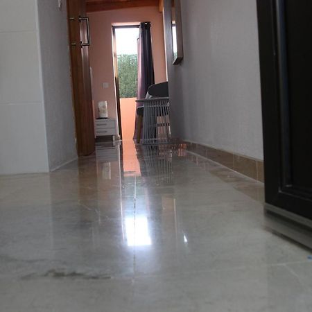 Tamaragua Beach Studio كوراليهو المظهر الخارجي الصورة